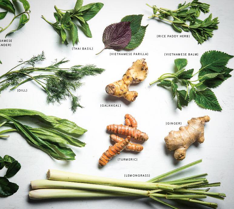Why Vietnamese Herb Are Awesome?