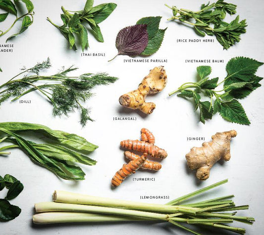 Why Vietnamese Herb Are Awesome?