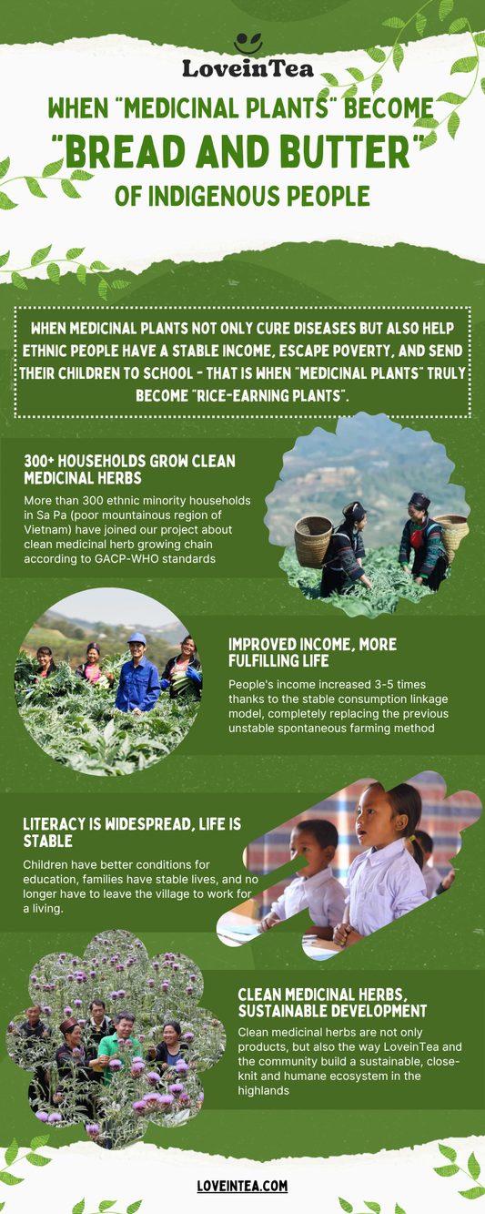 When "medicinal plants" become "bread and butter"