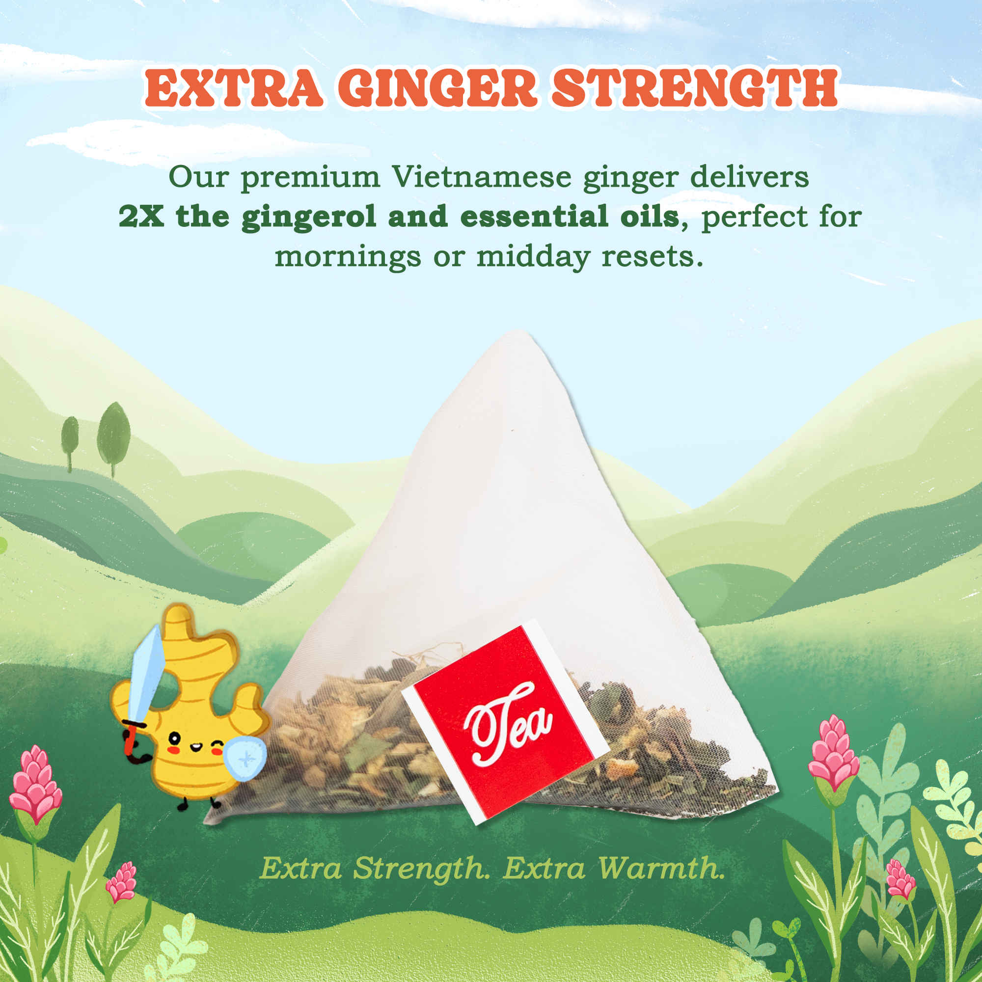 Ginger Herbal Tea Bags