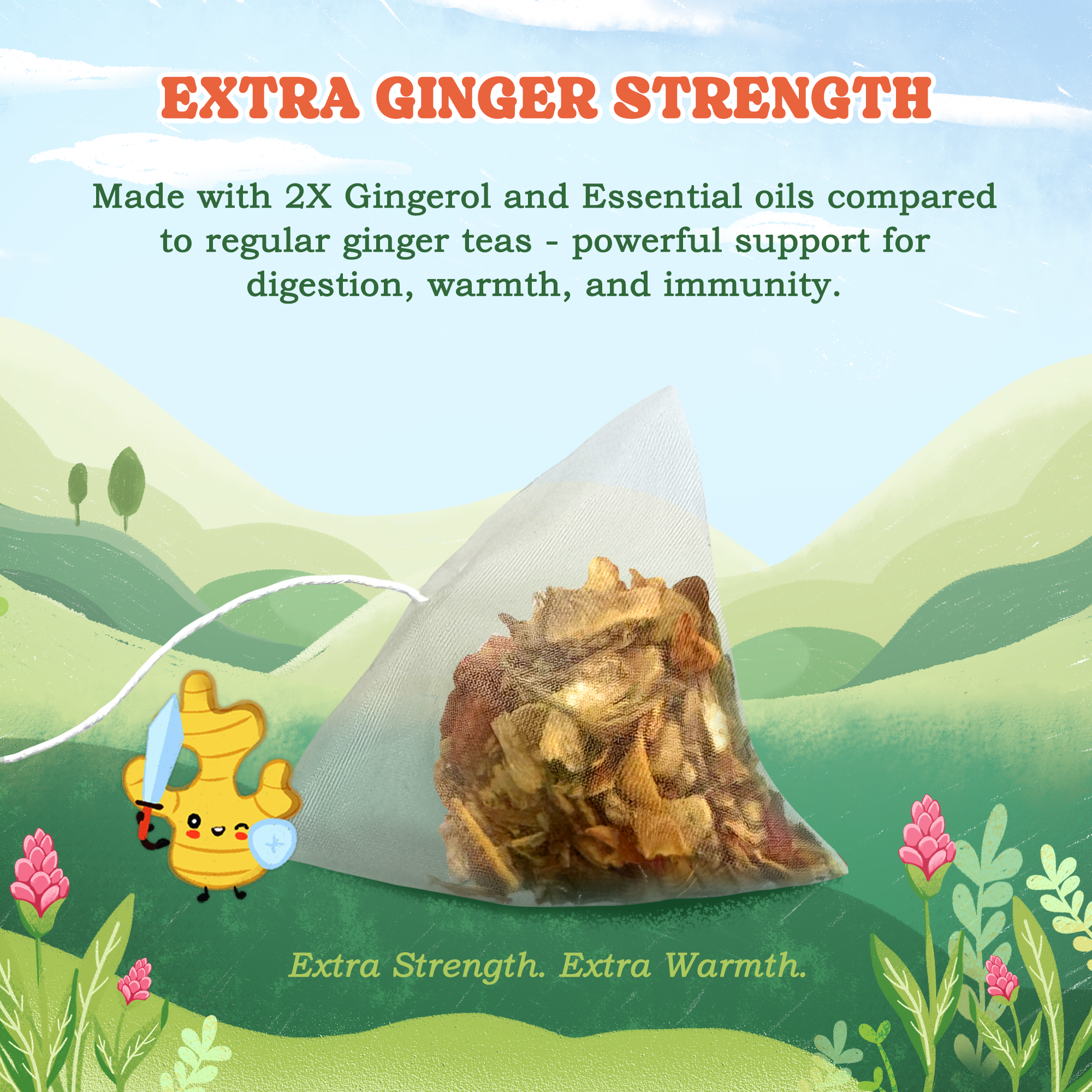Ginger Herbal Tea Bags