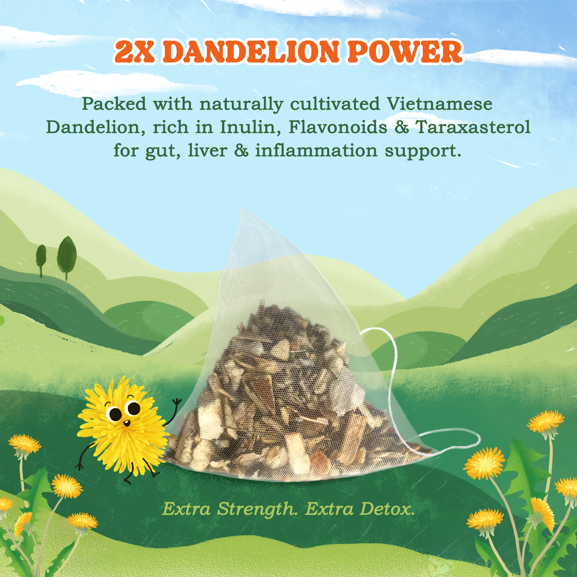 Dandelion Herbal Tea Bags