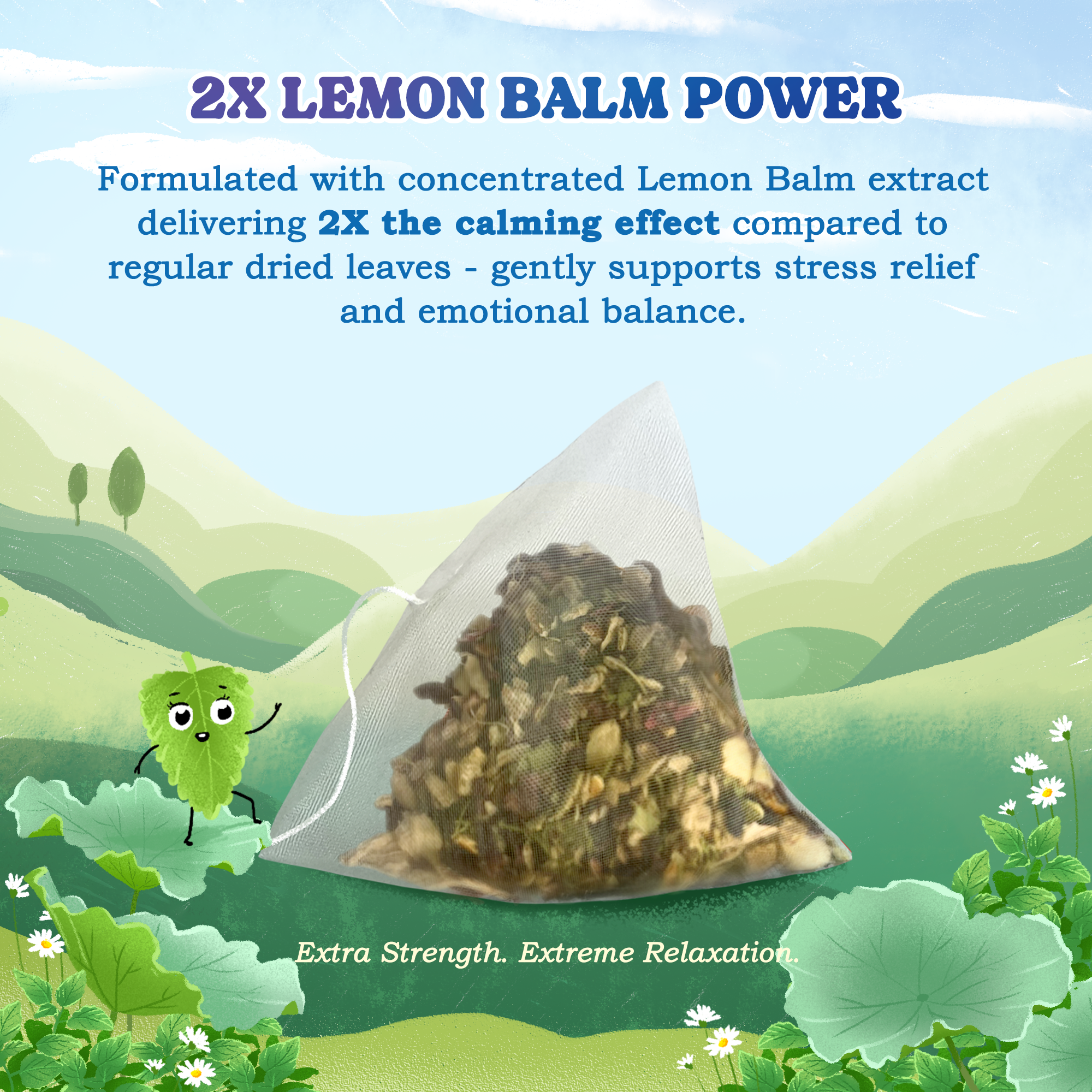 Nighty Night Herbal Tea Bags