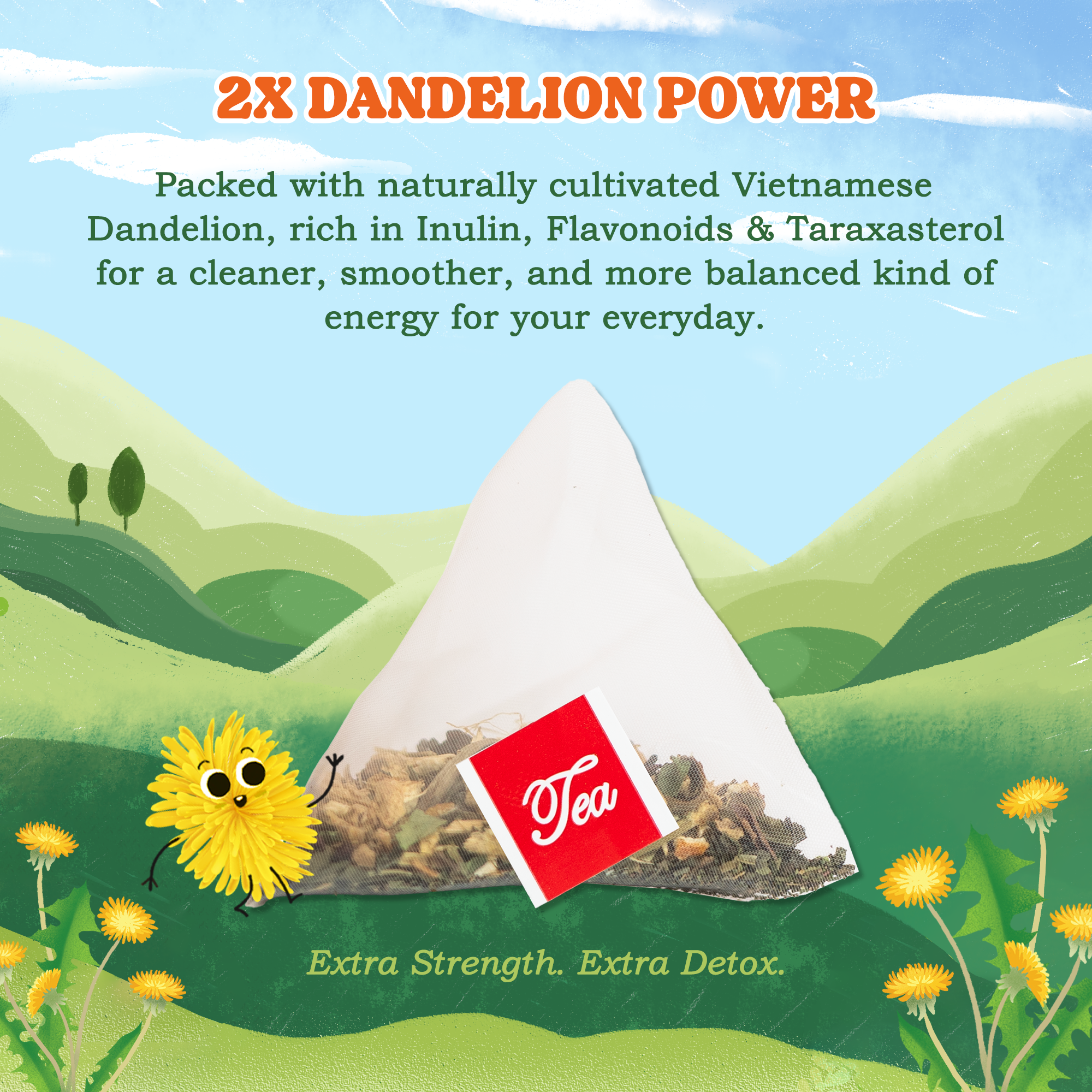 Dandelion Herbal Tea Bags