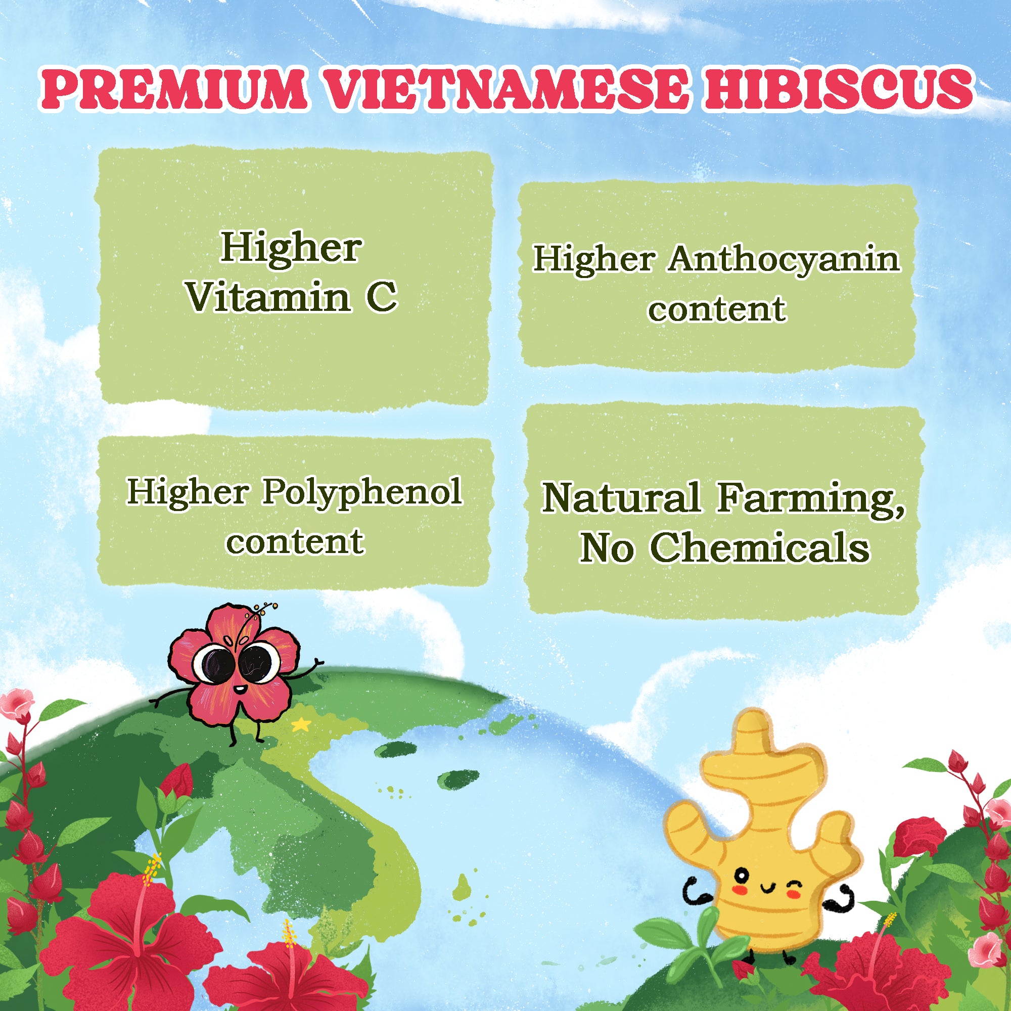 Hibiscus Herbal Tea Bags