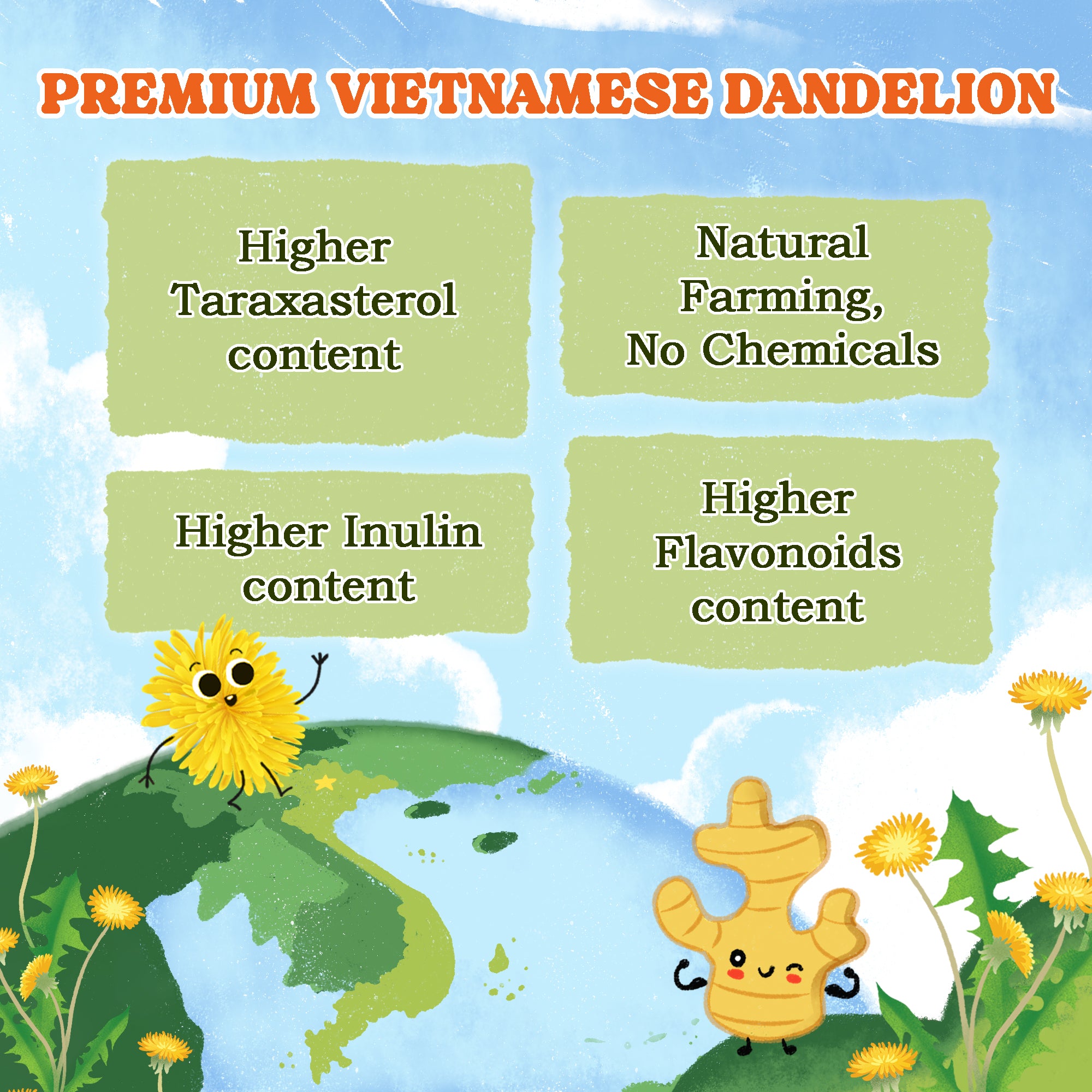 Dandelion Herbal Tea Bags