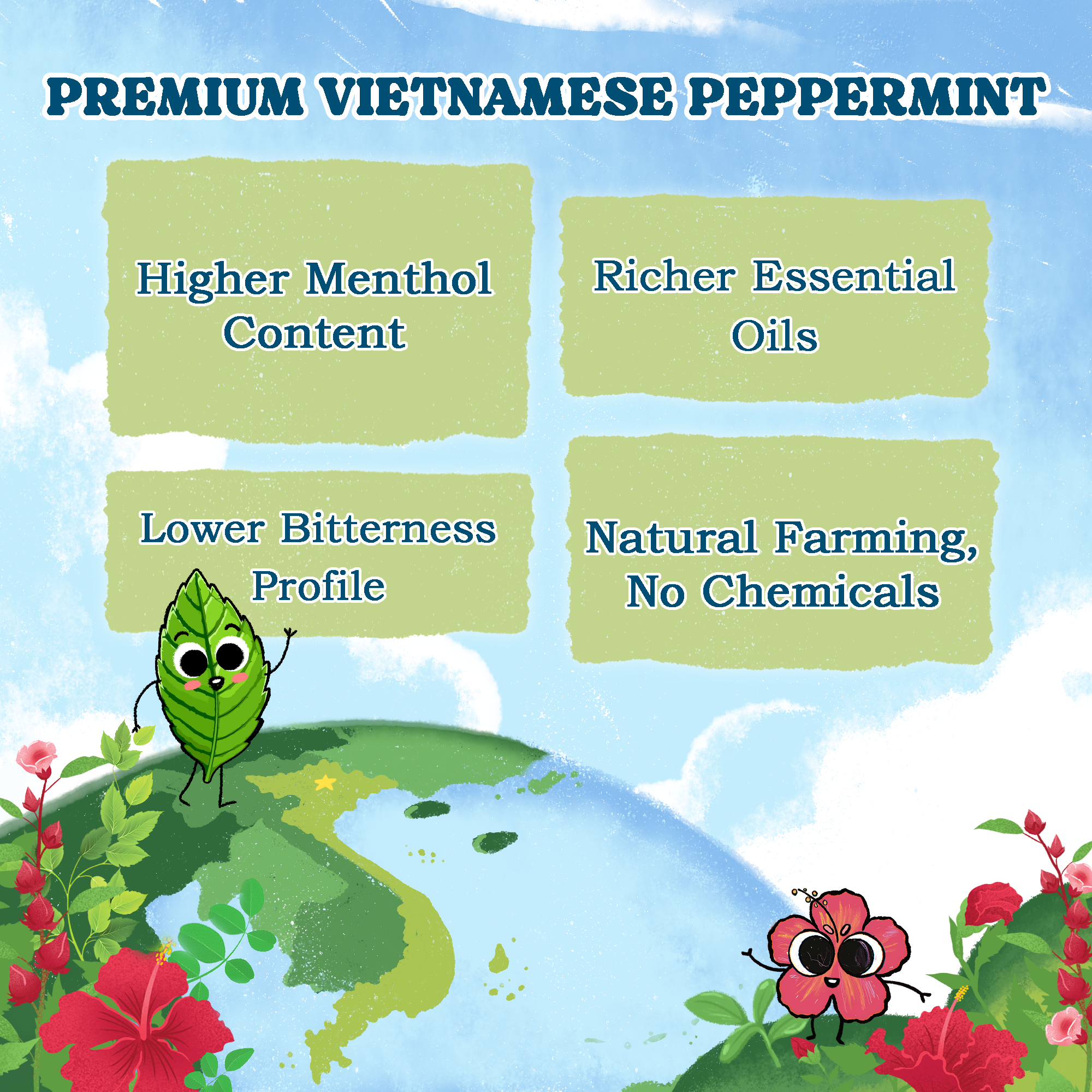 Peppermint Herbal Tea Bags