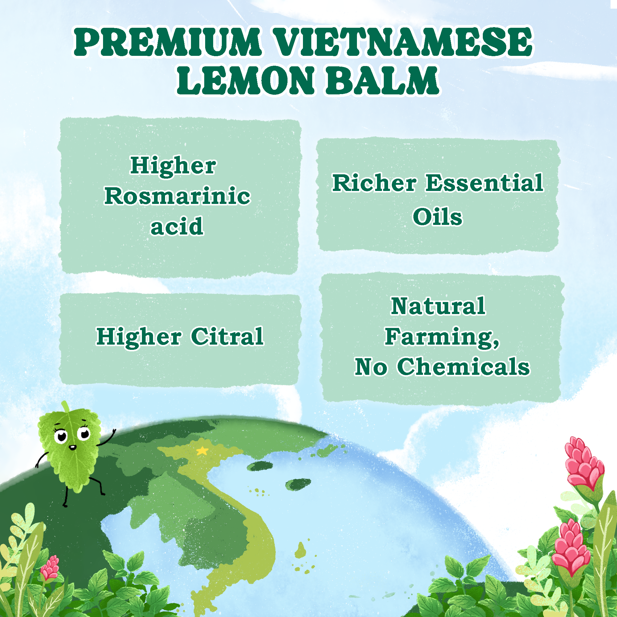 Lemon Balm Herbal Tea Bags