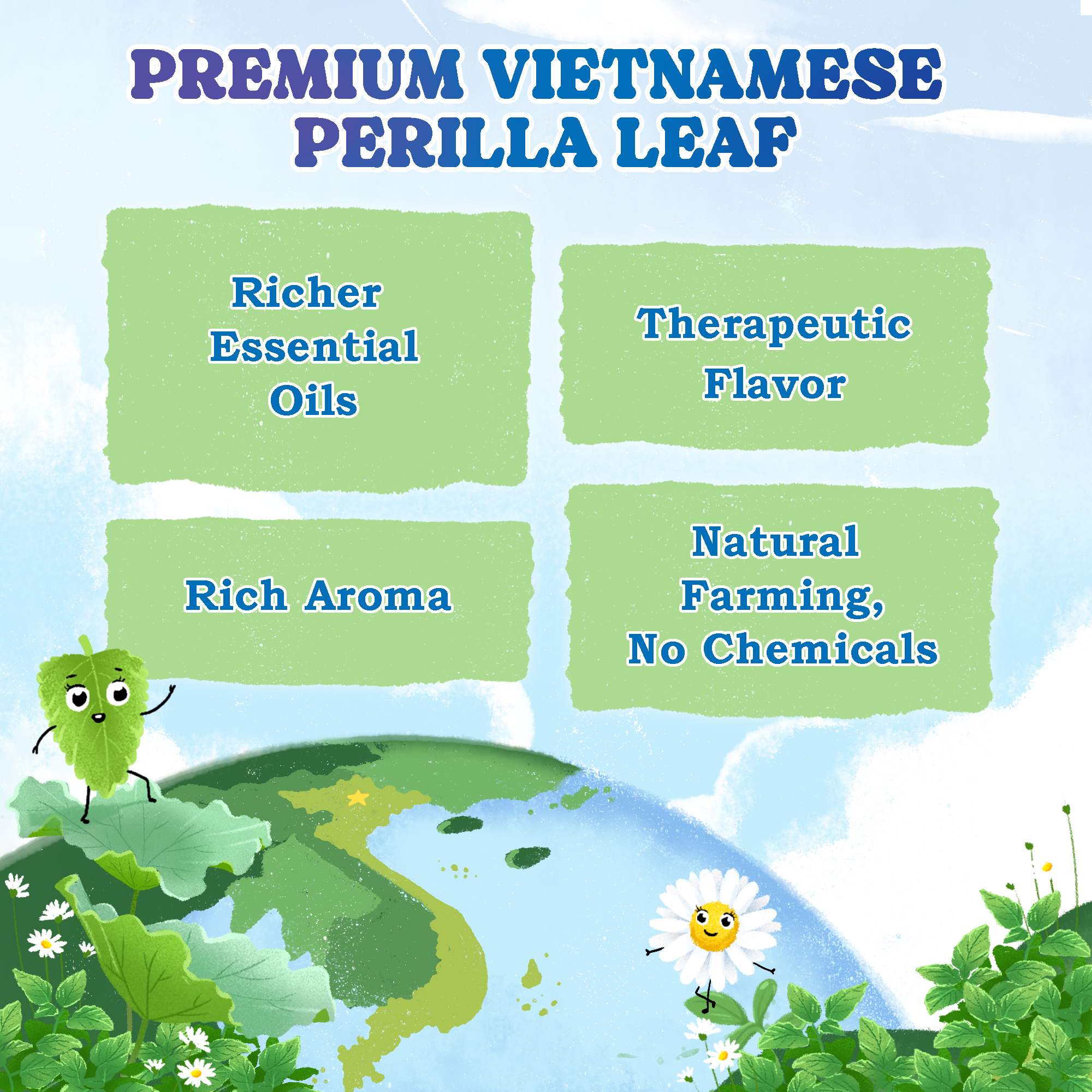 Nighty Night Herbal Tea Bags