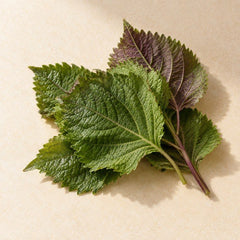 Perilla Leaf