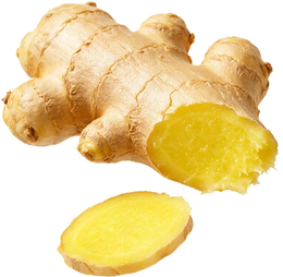 Ginger